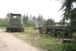 Militaria-foto-varie-di-alcune-edizioni-01